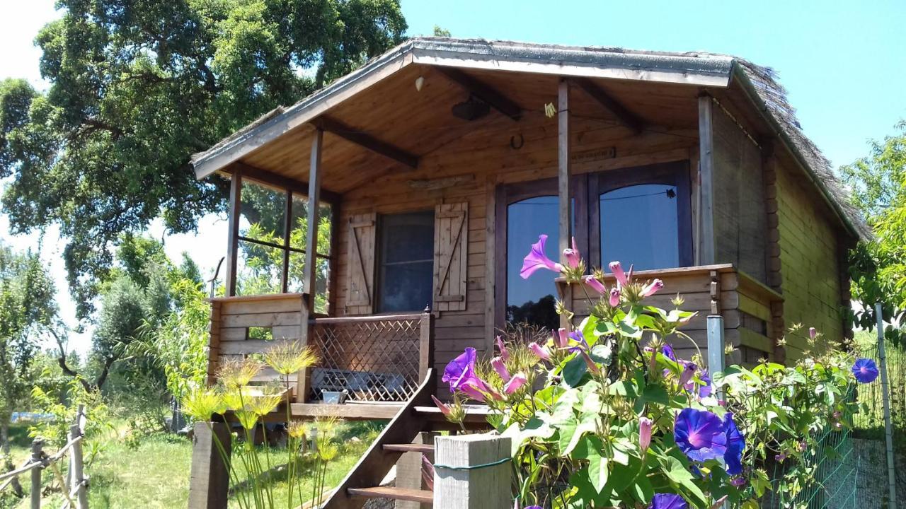 Bed and Breakfast Casa Do Sobreiro 2 Serra das Alhadas Exteriér fotografie