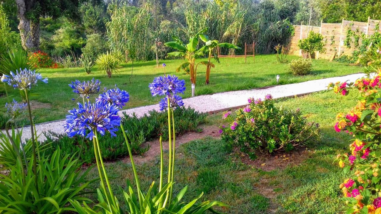 Bed and Breakfast Casa Do Sobreiro 2 Serra das Alhadas Exteriér fotografie