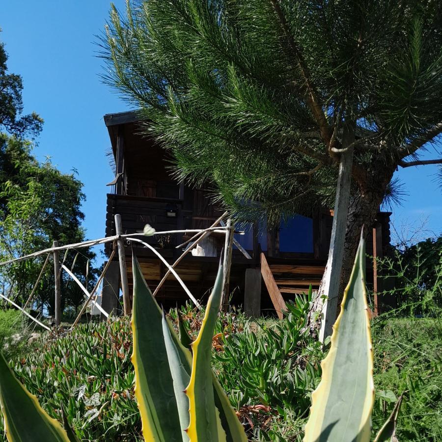 Bed and Breakfast Casa Do Sobreiro 2 Serra das Alhadas Exteriér fotografie