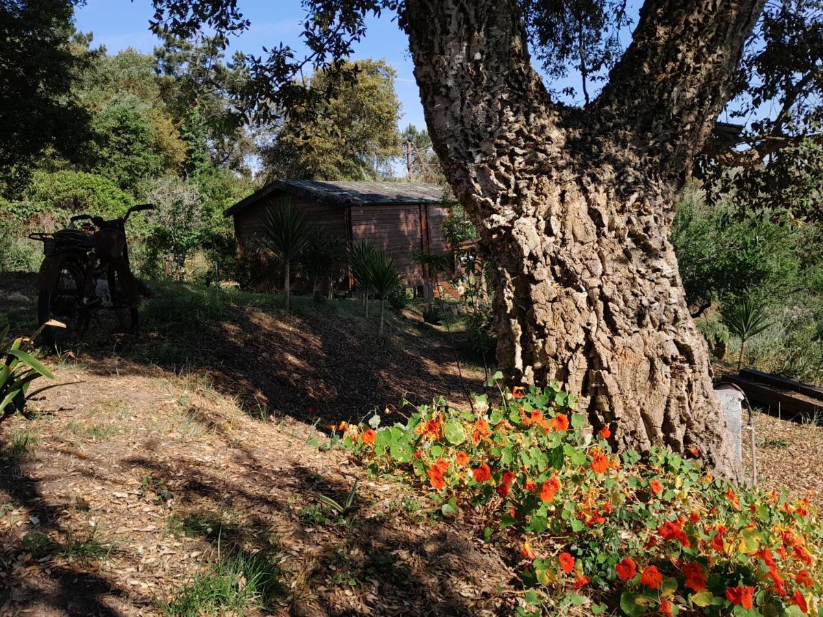 Bed and Breakfast Casa Do Sobreiro 2 Serra das Alhadas Exteriér fotografie
