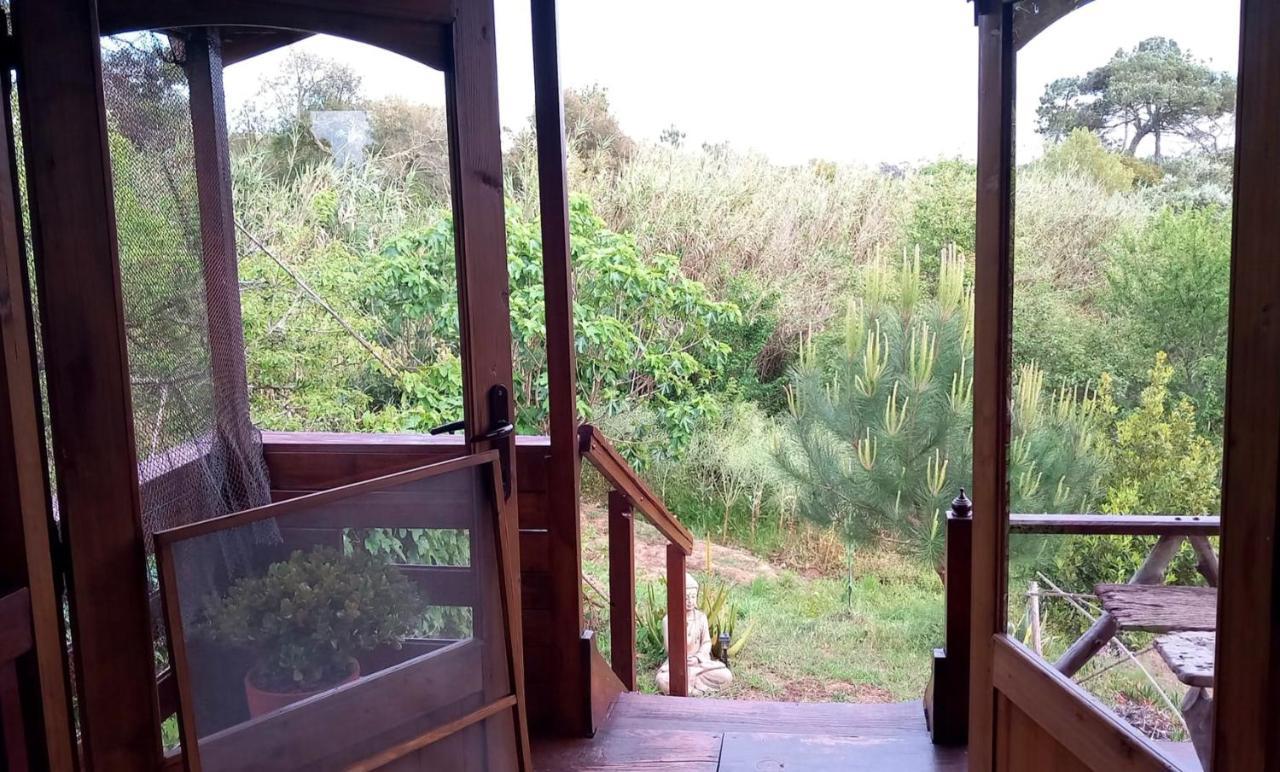 Bed and Breakfast Casa Do Sobreiro 2 Serra das Alhadas Exteriér fotografie